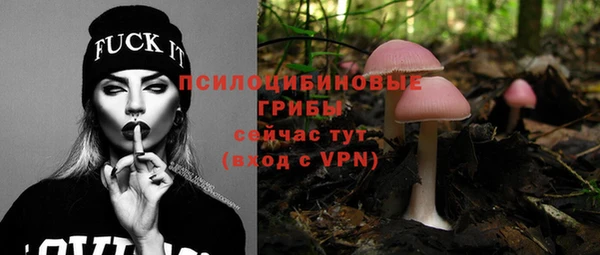 не бодяженный Алексин