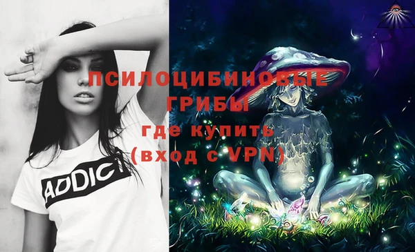 альфа пвп Алексеевка