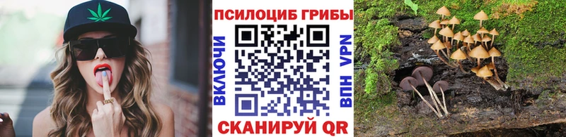 omg ССЫЛКА Палласовка Псилоцибиновые грибы мицелий наркота